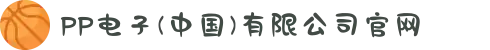 PP电子(中国)有限公司官网